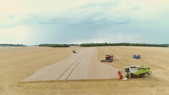 Agricultural Combines Harvesting Wheat On The Big Field. alt