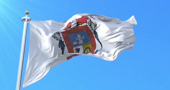 Flag of Aguascalientes, Mexico. Loop alt