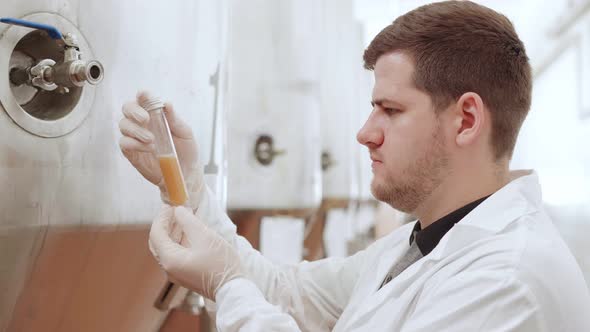 Worker Examines Beer in a Test Tube at a Beer Factory