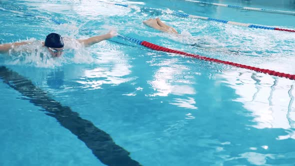 Two Men are Swimming Butterfly Along the Pool's Lanes alt