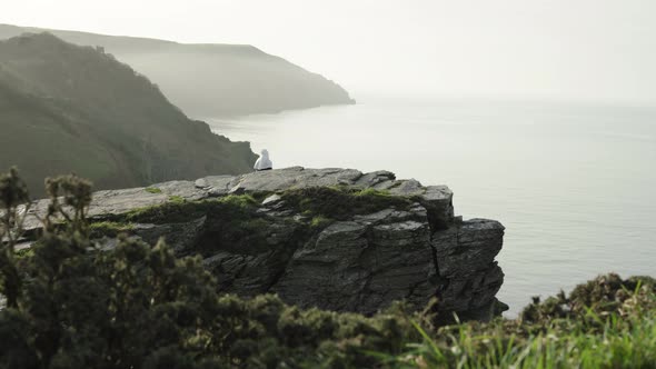A religious nun sat on a Rock cliff overlooking the sea - Valley of the Rocks, England - Wide alt