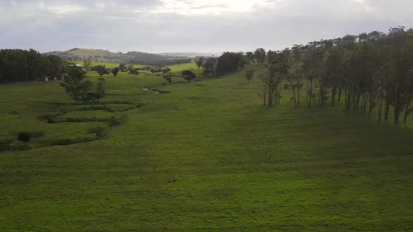 Aerial View of Lush Green Meadow Seen From Above