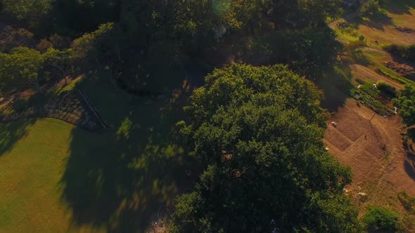 Aerial view of beautiful park alt