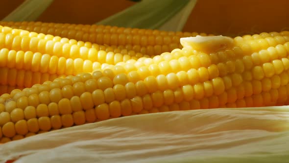 Appetizing Boiled Yellow Corn with Melted Butter and Salt Closeup Rotation Cyclic alt