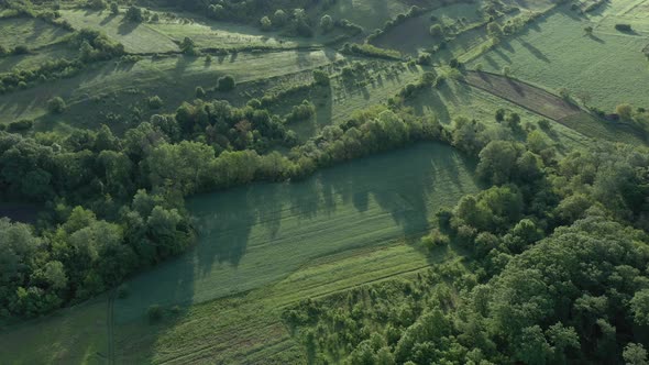 Early morning sun over the green fields and trees 4K aerial video alt