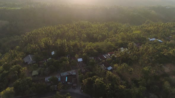 Rice Fields with Agricultural Land in Indonesia alt