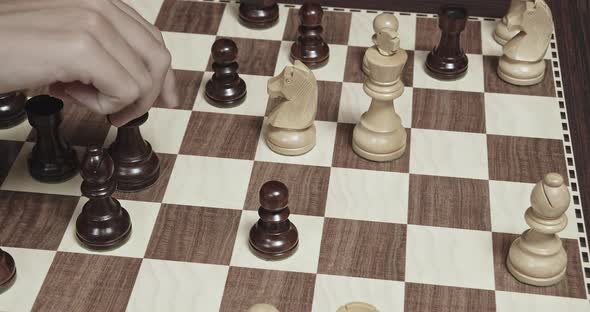 Checkmate By the Queen Chess Game