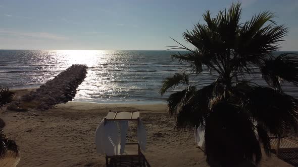 Palm Tree Sandy Beach Sunrise