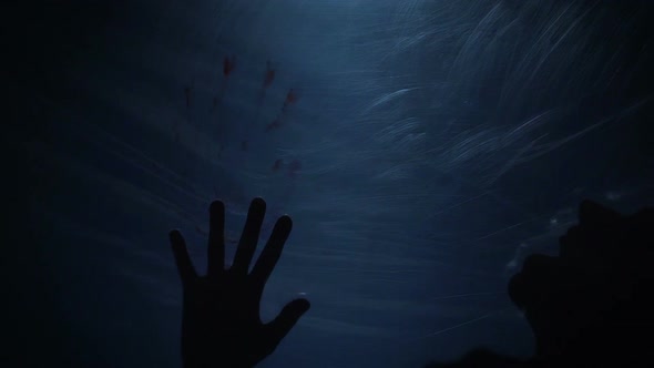 Breathless Victim of Psychopath Behind Plastic, Pain and Fear, Cruel Murder alt