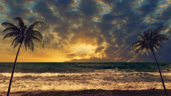 Exotic beach with palm trees at sunset and beautiful clouds.