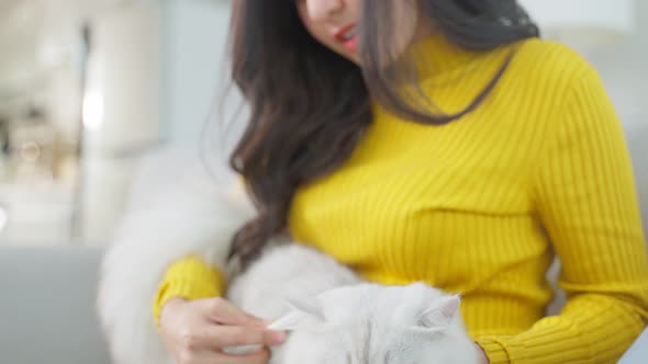 Asian woman holding little cat and brush furs with happiness at home. alt