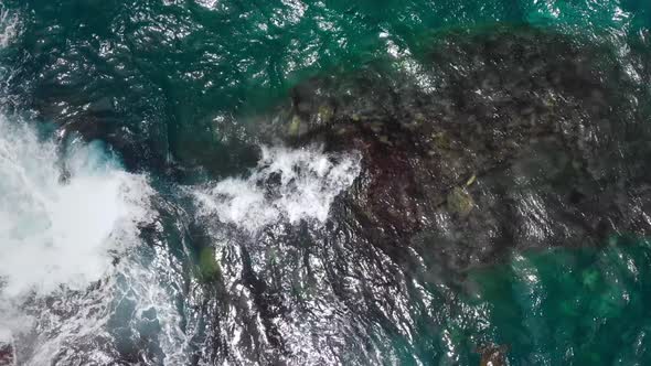 Top-down view of sea turtles in the ocean waves, black rock at the bottom (Kauai, Hawaii, USA) alt