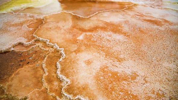 Pool in Mammoth Hot Springs  Yellowstone Wyoming alt