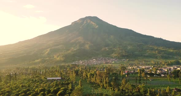 Mount sumbing with rural view and lush trees in tobacco plantations with blue sky on the background alt