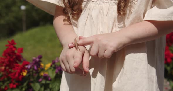 In The Hand Of A Little Girl Sits A Grasshopper