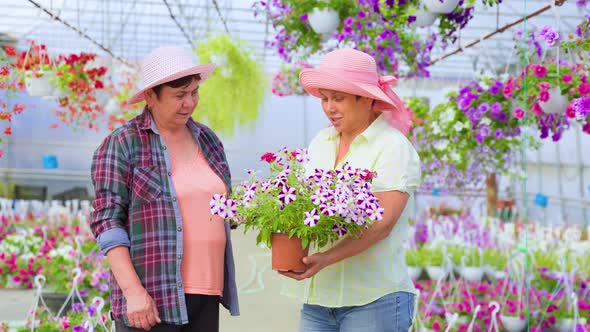 Front View Looking at Each Other Two Elderly Women in Greenhouse Talking alt