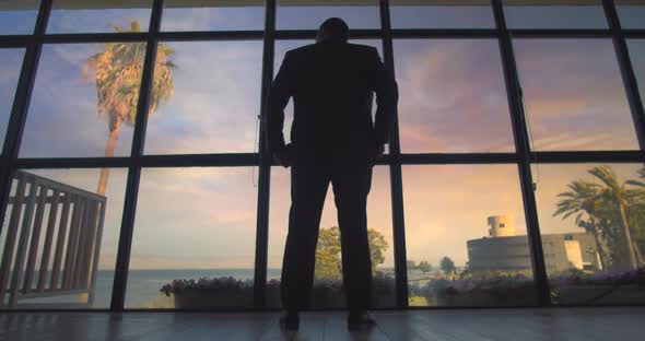 Businessman standing near a big window, looking at the lake at sunset. alt