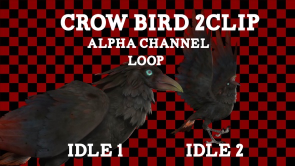 Crow V2 Idle 2 Clip Loop Alpha