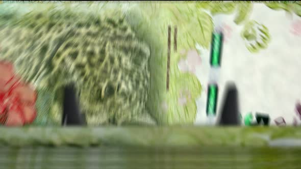 Argentina Peso money counting machine down alt