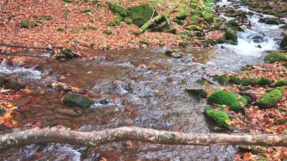 Mountain River with Autumn Leaves alt