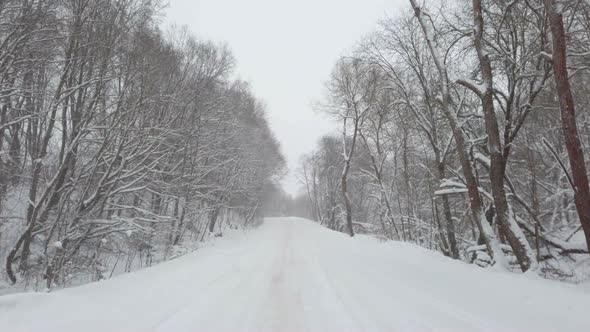 Video of Road in Winter Forest