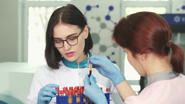 Attractive Female Chemist and Her Assistant Working with Test Tubes alt