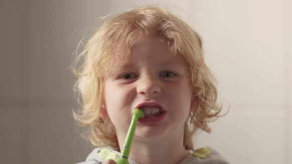 Little Blond Boy Diligently Brushing His Teeth with Electric Toothbrush.