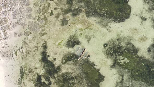 Vertical Video of Low Tide in the Ocean Near the Coast of Zanzibar Tanzania Aerial View alt