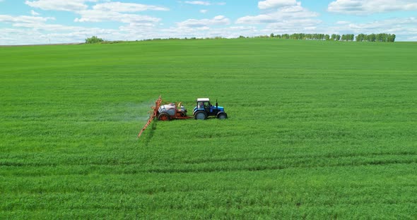 Tractor Sprays Fertilizer on a Greenfield