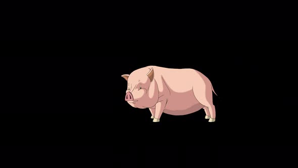 Pink Pig running alpha mate 4K