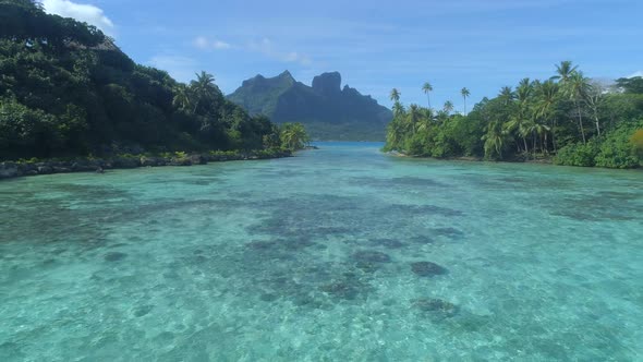 A woman swimming in a tropical green lagoon in Bora Bora tropical island alt