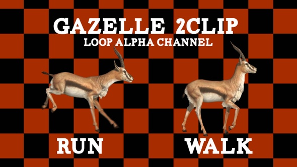 Gazelle 2 Clip Loop
