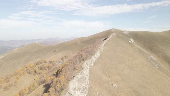 Flying over beautiful mountains in Bakuriani. Aerial view of Autumnal forest. Georgia alt