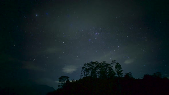 Breathtaking time lapse of night starry sky in forest. Milky way Shining stars Galaxy passing clouds