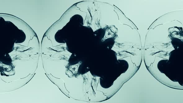 Fractal Animation Ink Shot Water alt