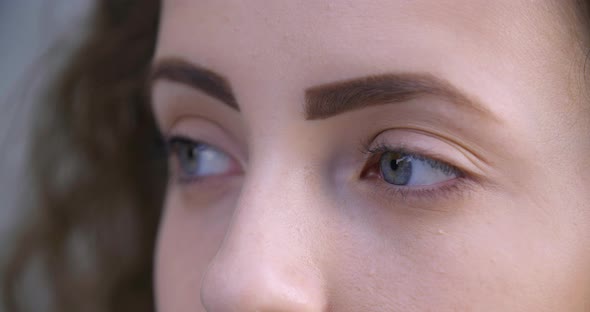 Close Up Shot of Female Face with Soft Skin, Focus on Blue Eyes with Lush Eyelashes and Make-up alt
