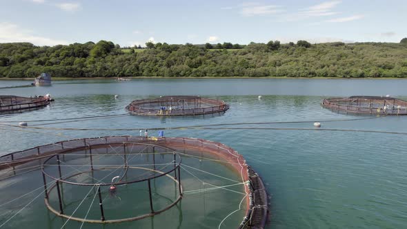 A Salmon Fish Farm in Scotland Providing Aquaculture for Food Markets alt