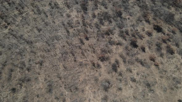 Destroyed Soil Aerial View alt