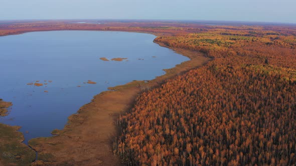 Aerial Top View of Beautiful Lake Surrounded By Colorful Forest in Autumn