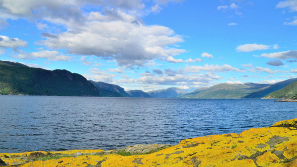 Nature Stock Footage