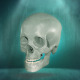 Rotate Skull - VideoHive Item for Sale