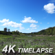 Clouds Over Rolling Hills - VideoHive Item for Sale