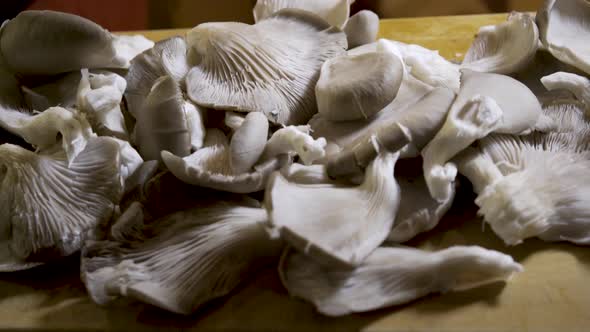 Slider shot of all the pieces of the cluster of oyster mushrooms cut off. alt