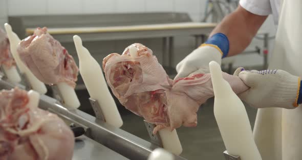 Hands Develop Chicken Meat In Production alt