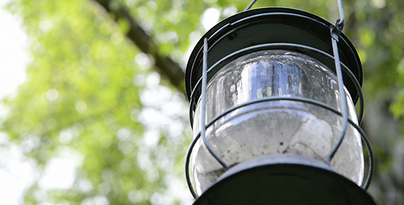 Hanging Lamp at Tree In Nature