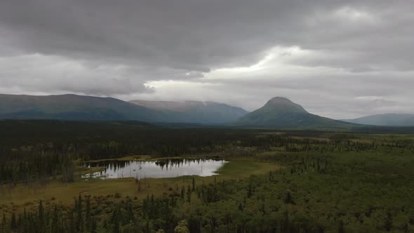Peaceful View of Pond and Marshland Surrounded By Forest and Mountains alt