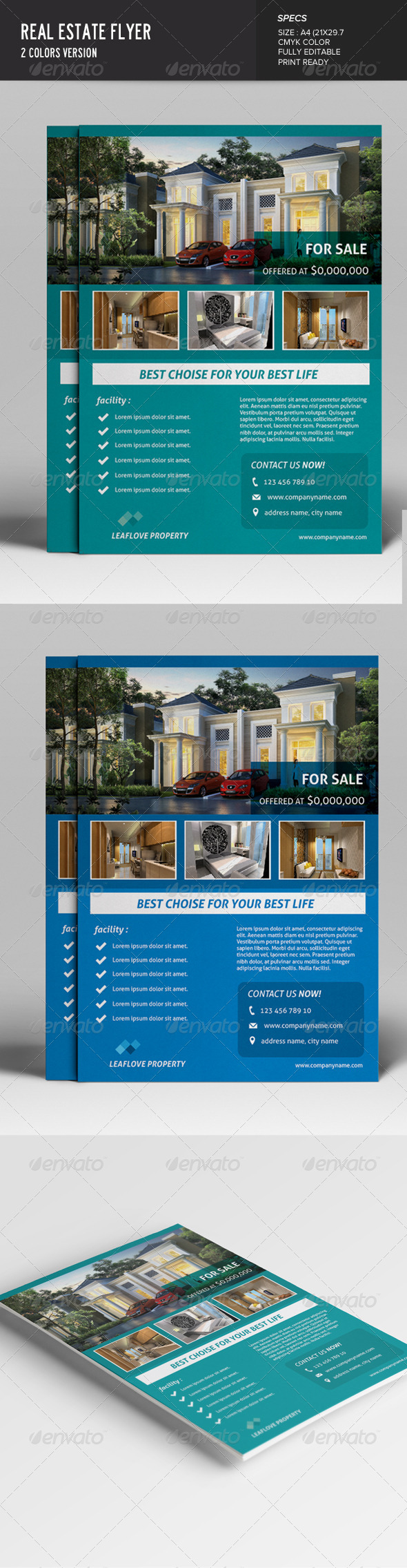 Real Estate Flyer