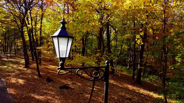 Aerial drone view of a flying in the autumn park. Street lamp on a background of autumn leaves. alt