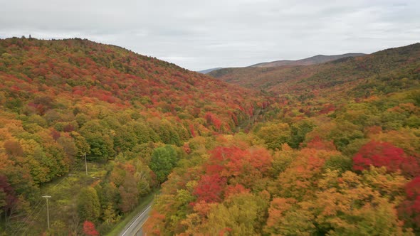 AERIAL Flying Above Stunning Colorful Treetops with Turning Leaves on Cloudy Day alt