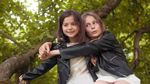 Joyful Cute Sisters in Summer Clothes Sitting in Embrace on Branch of Old Tree alt